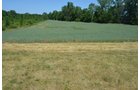 Property photo 15 - 21 Acre Modern Country Estate